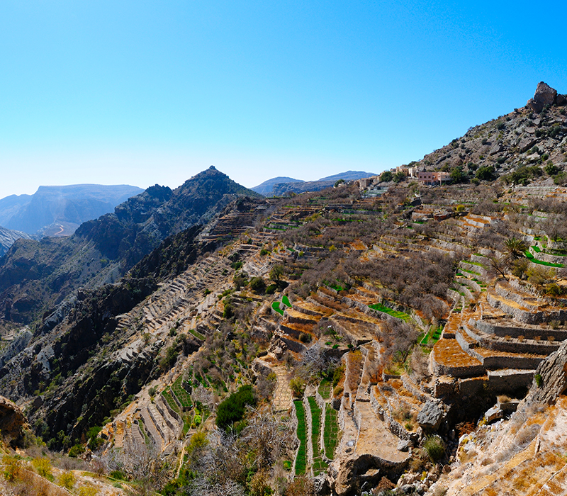 شركة المتحد العالمية للإستثمار والتطوير